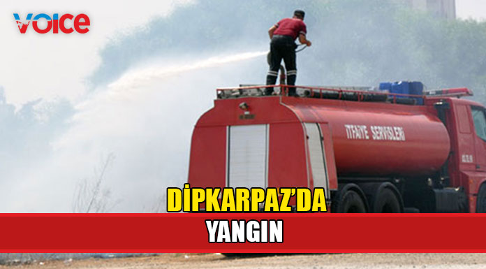 Yol kenarında başlayan yangın geniş alana yayıldı!
