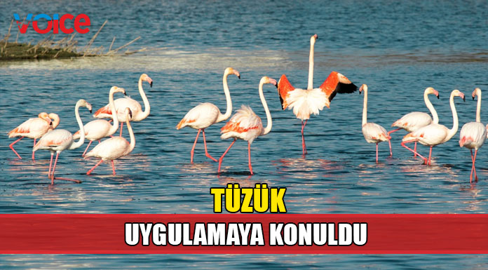 Sulak Alanların Korunması ve Yönetimi Tüzüğü yürürlüğe girdi