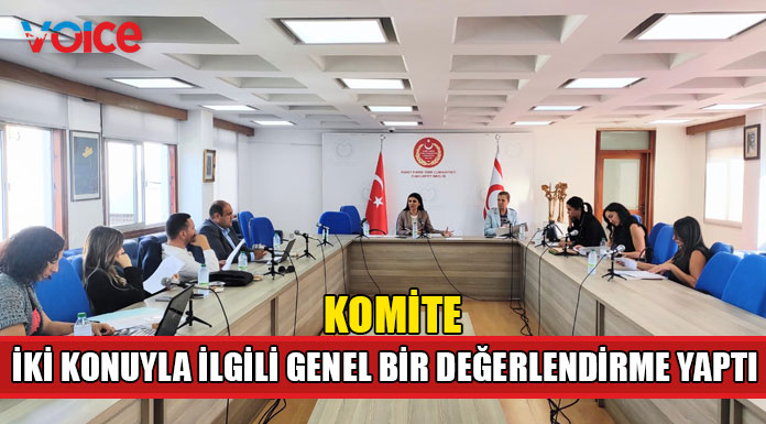Yasalardaki Cinsiyet Ayrımcılığını İzleme Komitesi toplandı