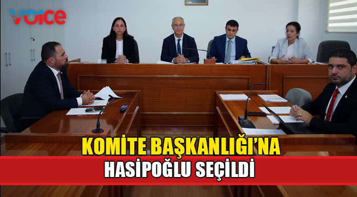 Avrupa Birliği Uyum Yasa Tasarılarını Görüşmek Üzere Oluşturulan Komite için başkan seçildi