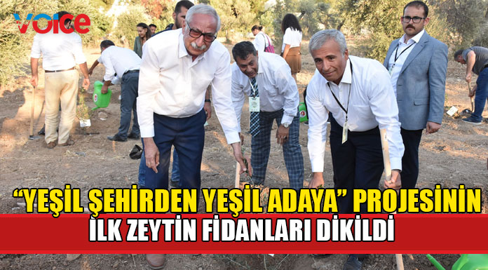 Proje kapsamında 20 bin kök zeytin fidanı toprakla buluştu
