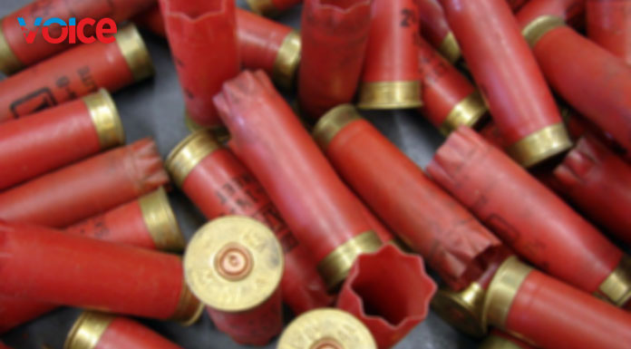 One person arrested with import-restricted cartridges