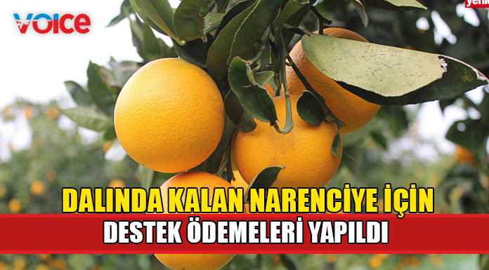 400 üreticiye destek ödemesi yapıldı