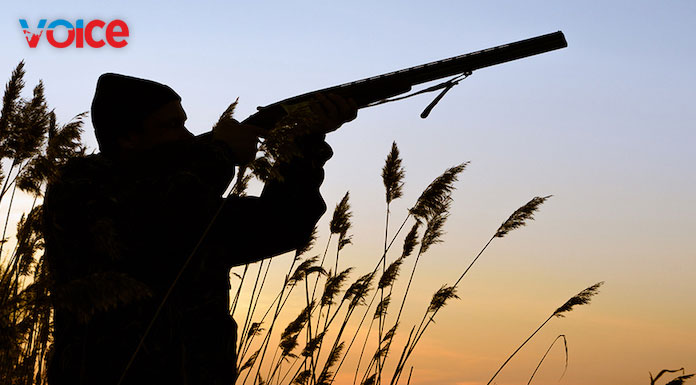 Hunter fined after posting photos of animals he shot on social media