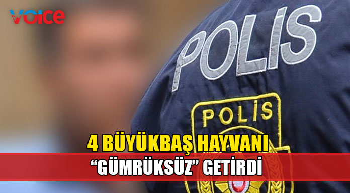 Metehan ve İnönü'de gümrüksüz mal tasarrufu