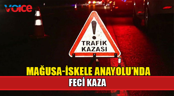 Bir araç iki yayaya çarptı!