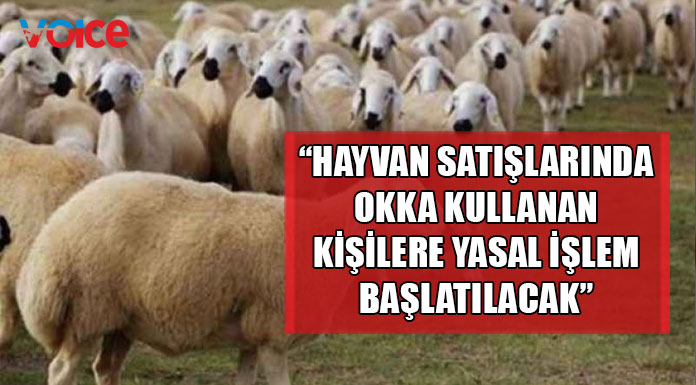Bugünden itibaren hayvan satışlarında “okka” kullanımıyla ilgili denetimlere başlıyor