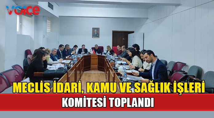 Meclis İdari, Kamu ve Sağlık İşleri Komitesi belediyelerle ilgili tasarıyı görüştü