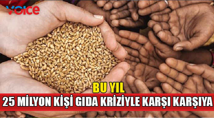 Aşırı hava koşulları gıda güvenliğini etkiliyor