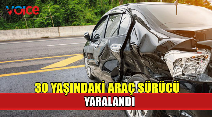 Yolun sağından çıkarak narenciye ağacına çarpıp takla attı!