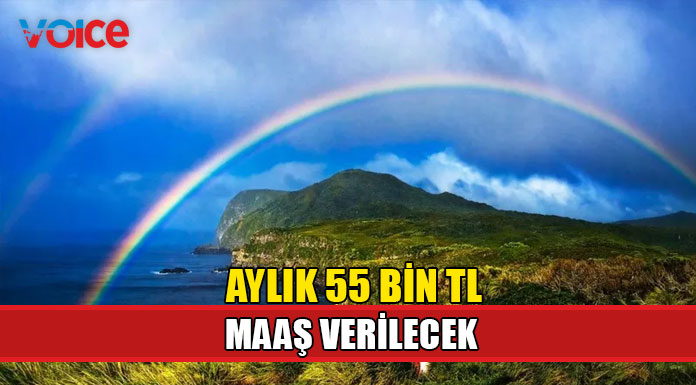 Dünyanın en ücra yerlerinden Gough Adası’nda çalışacak biri aranıyor