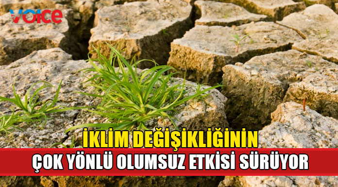 2022'de Milyonlarca kişi yerinden oldu