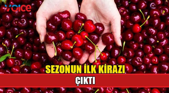 Sezonun ilk kirazı kilogramı 800 liradan alıcı buldu