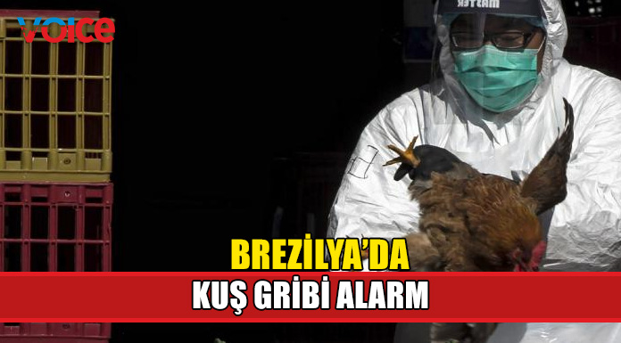 Brezilya'da acil durum ilan edildi