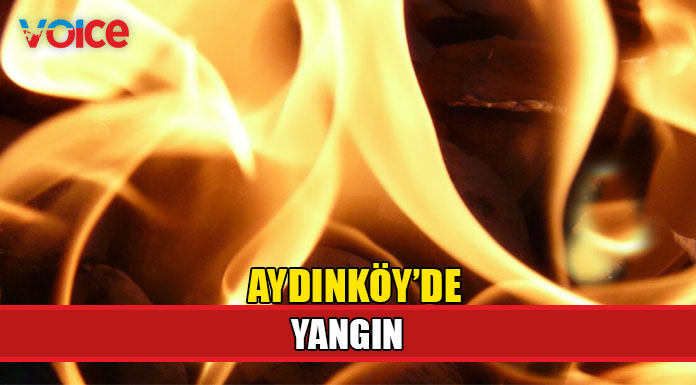 Aydınköy'de arazi yangını
