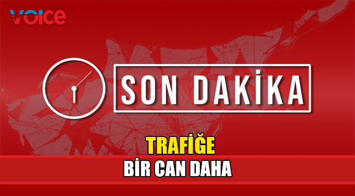 Kamyonun çarptığı erkek şahıs hayatını kaybetti!