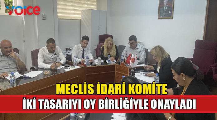 Komite iki tasarıyı onaylayarak Genel Kurul'a sevk etti