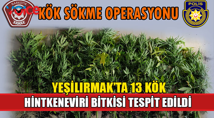 Narkotikten Kök Sökme Operasyonu!