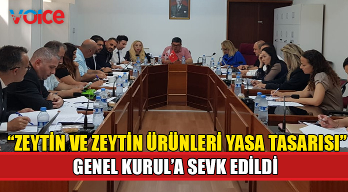 Zeytin ve zeytin ürünleri ile ilgili yasal düzenleme Meclis Genel Kurulu'na sevk edildi