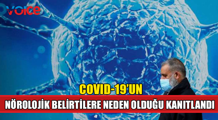 Covid-19 virüsünün beyin hücreleriyle birleşebildiği kanıtlandı