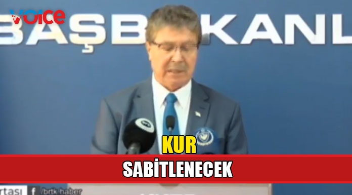 Bakanlar Kurulu dövizdeki krize yönelik karar üretti