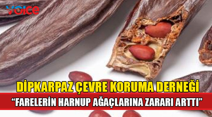 Dipkarpaz Çevre Koruma ve Sosyal Aktivite Derneği'nden uyarı