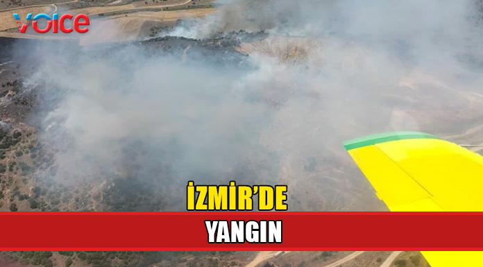 İzmir'de tarlada başlayan yangın ormana sıçradı