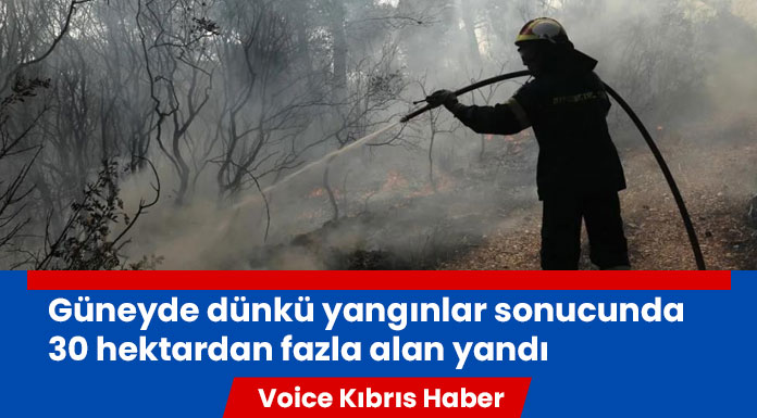 Baf ormanlarındaki yangının sebebi AİK’in çıplak kabloları