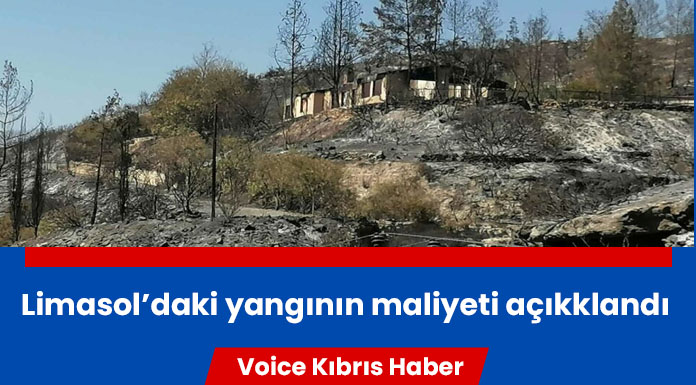 Limasol'daki yangının yol açtığı zararın maliyeti açıklandı