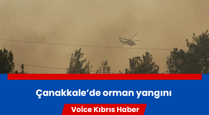 Yangın nedeniyle 4 yerleşim bölgesi tahliye edildi