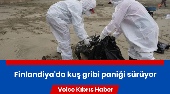 Yaklaşık 70 bin hayvanın itlaf edilmesi talimatı verildi