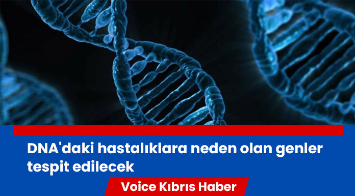 Google'ın yapay zeka şirketi DeepMind, DNA'da hastalığa yol açan genlerin bulunmasını hızlandırıyor