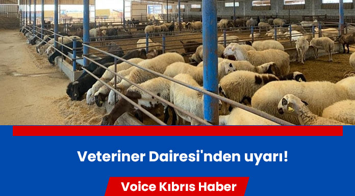 Veteriner Dairesi'nden hayvan hareketlerinde devir işlemi yapmayanlara cezai müeyyide uyarısı