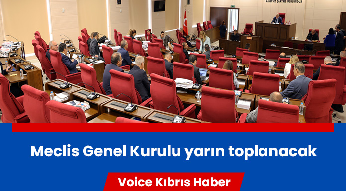 Meclis'in gündeminde 4 yasa tasarısı, 1 yasa önerisi bulunuyor