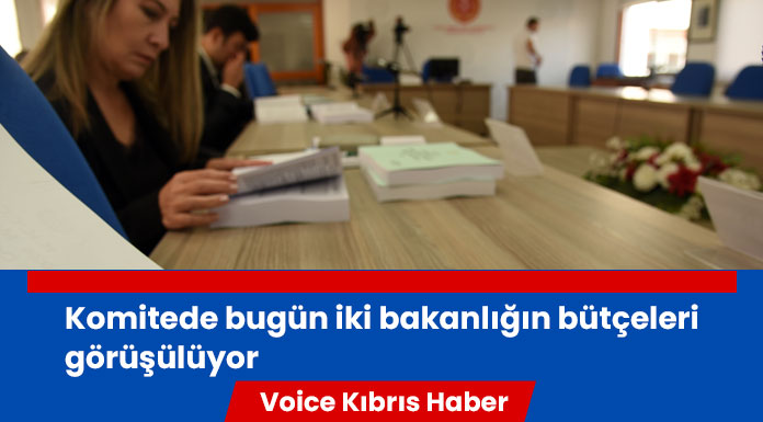 Komitede bugün iki bakanlığın bütçeleri görüşülüyor