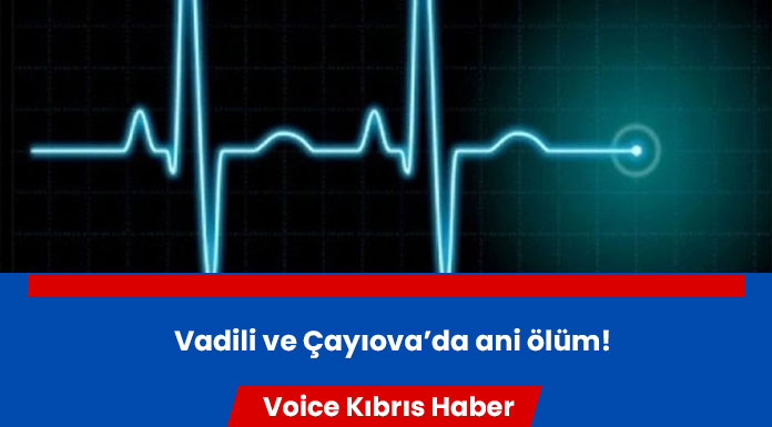 61 ve 74 yaşındaki şahıslar hayatını kaybetti