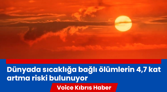 Küresel sıcaklık artışının devam etmesi halinde dünyada sıcaklığa bağlı ölümlerin 4,7 kat artma riski bulunuyor