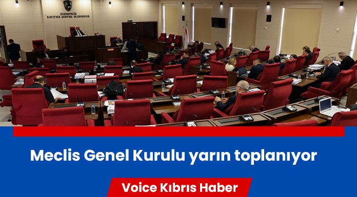 Toplantıda hem yasama hem de denetim görevi yapılacak