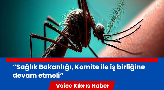 KTTB, sineklerle mücadelede ilaç kullanımı konusunda uyardı