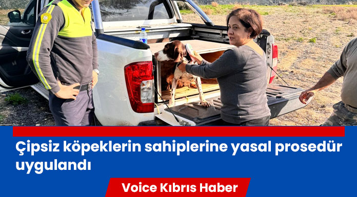 Veteriner Dairesi, 361 köpeğin mikroçip/kayıt kontrolünü yaptı