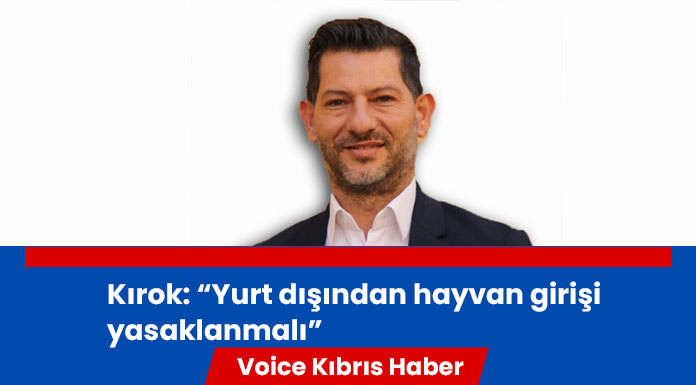 "Sokak hayvanlarıyla ilgili çok acil bir yasaya ihtiyaç var"