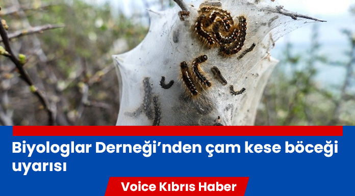 Bio-Der, çam kese böceği istilası yaşanacağı uyarısında bulundu