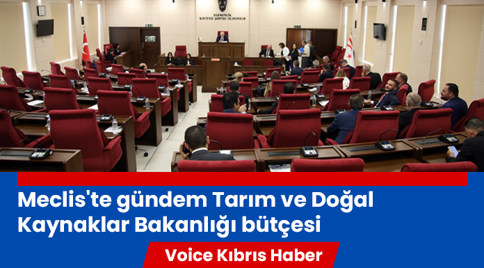 Kürşat "Suç eker suçlu biçer hale geldik"