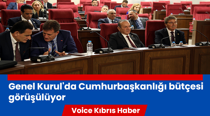 Toros "Cumhurbaşkanı Kıbrıs Türk tarafını itibarsızlaştırıyor"