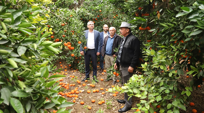 “Bir an önce bahçelere girilip doğru tespitin yapılması lazım”