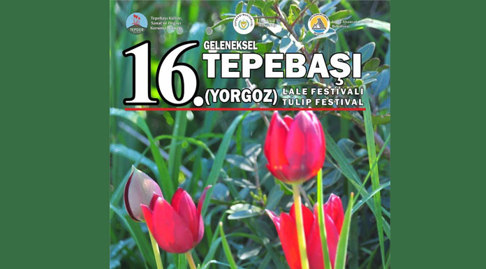 16. Tepebaşı (Yorgoz) Lale Festivali hafta sonu yapılıyor