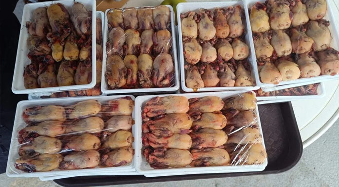 İngiliz Üslerinde düzenlenen operasyonda pulya kuşlarına el konuldu