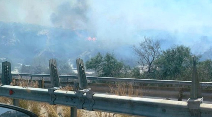 Güney Kıbrıs'ta üç ayrı noktada yangın çıktı