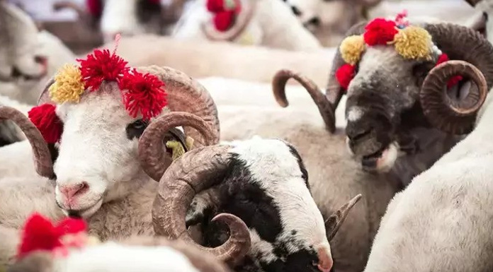 Kurban Bayramı yarın başlıyor