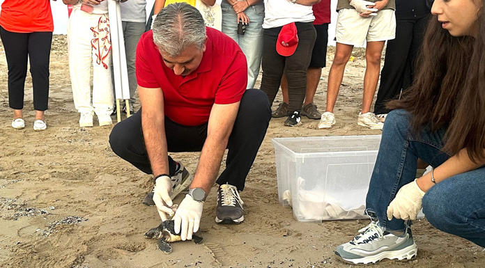 Deniz Kaplumbağaları Koruma ve Araştırma Projesi yıl sonu etkinliği yapıldı
